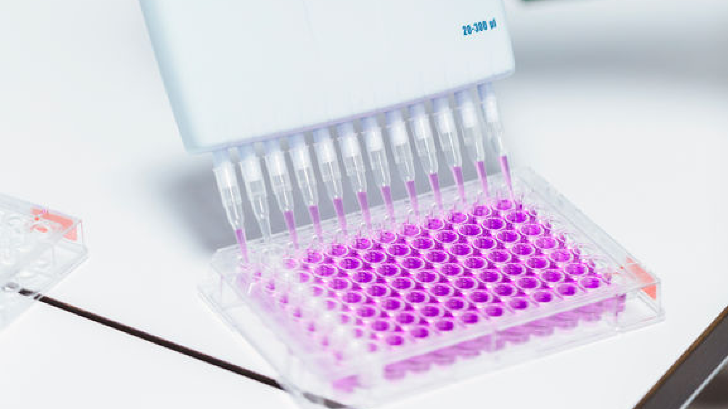 Wada extends suspension of National Dope Testing Laboratory for six more months