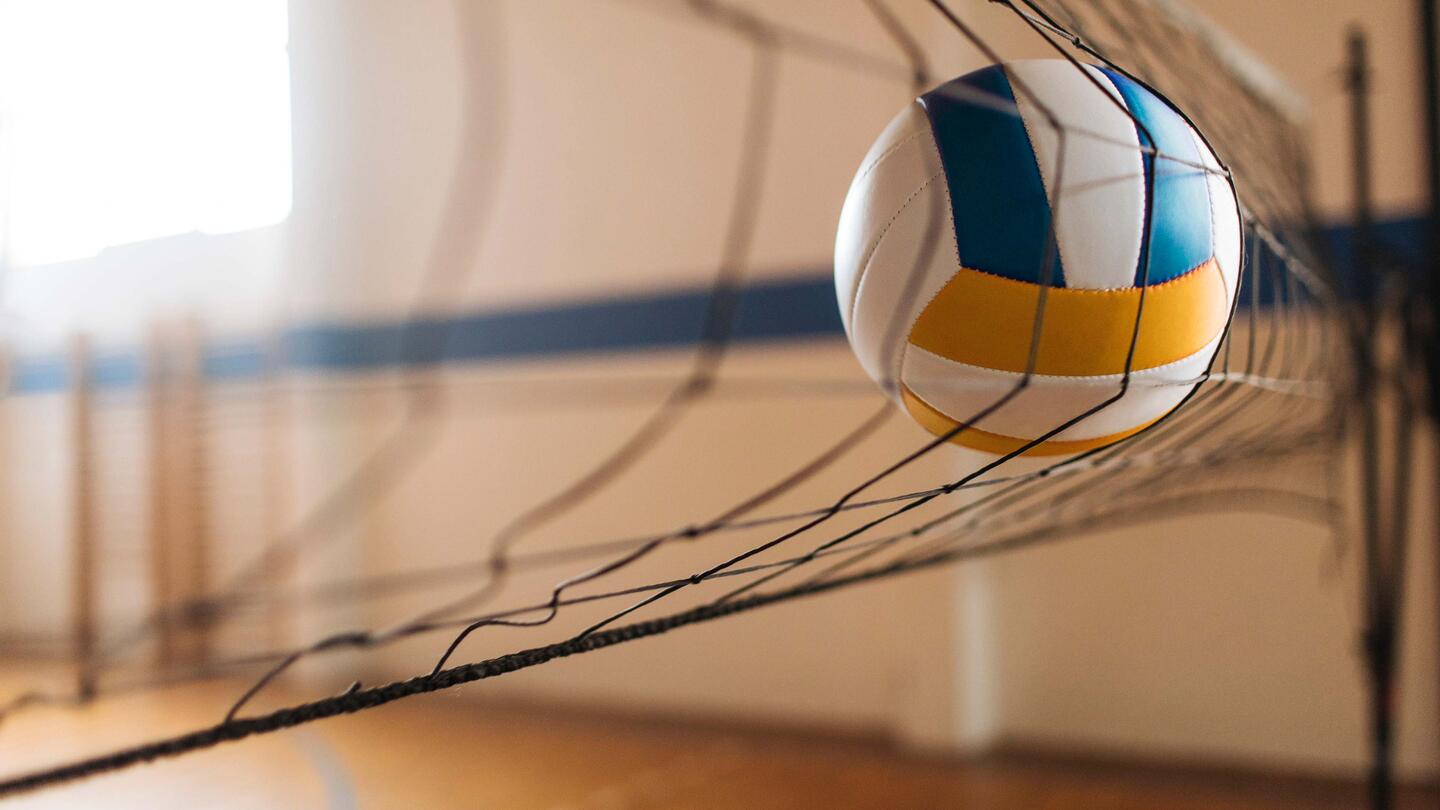 volleyball net