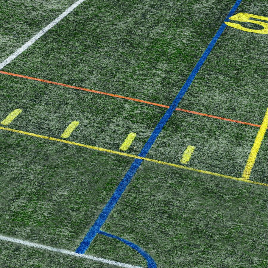 A green stadium's field with coloured lines defined for a sport
