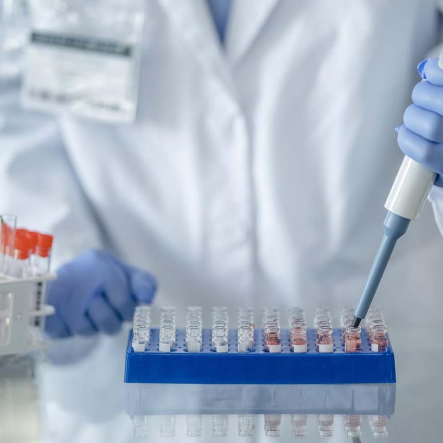 New Delhi lab