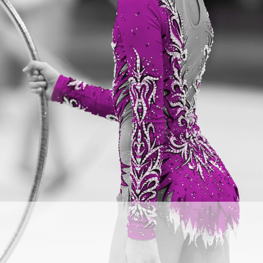 pro standards - gymnastics