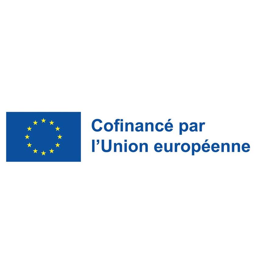 cofunded eu