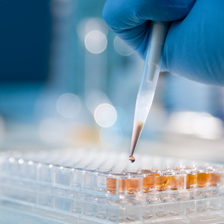 laboratory