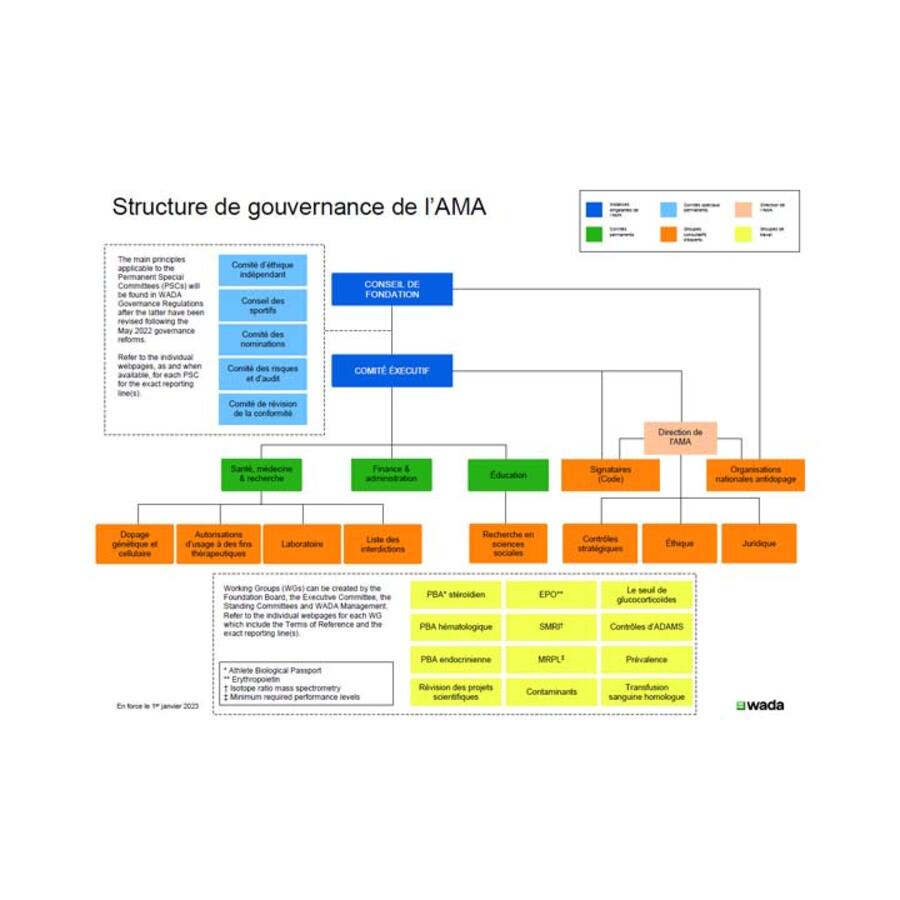 Governance structure