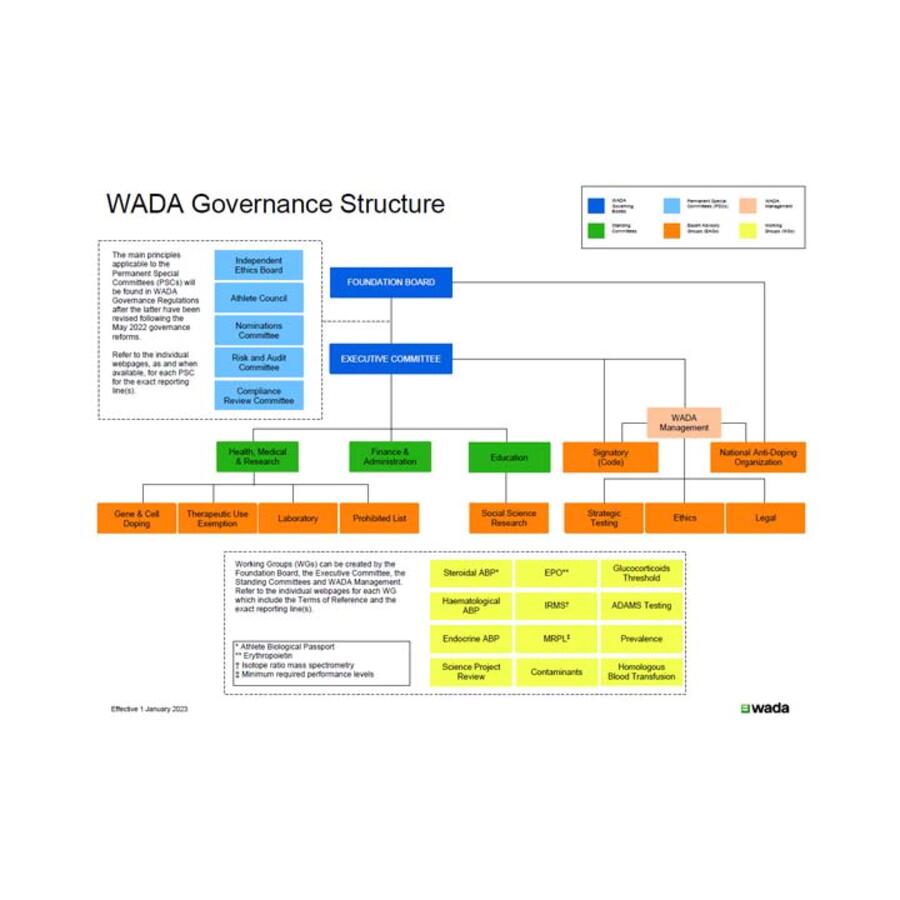 Governance structure