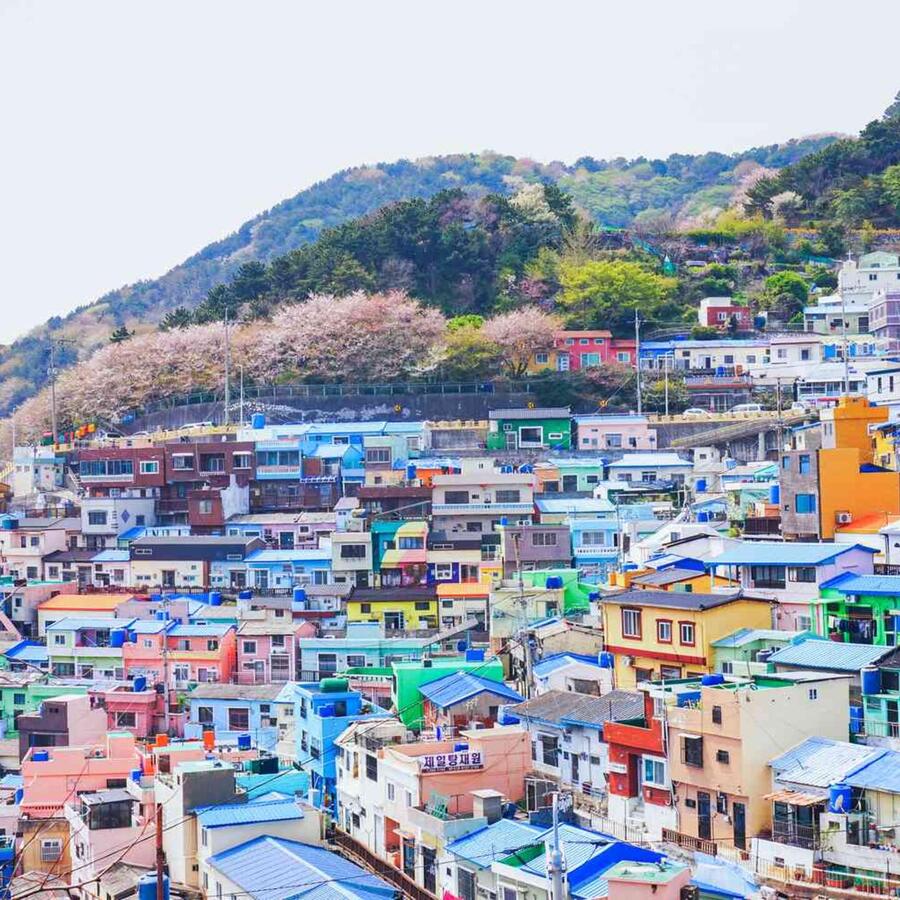 busan