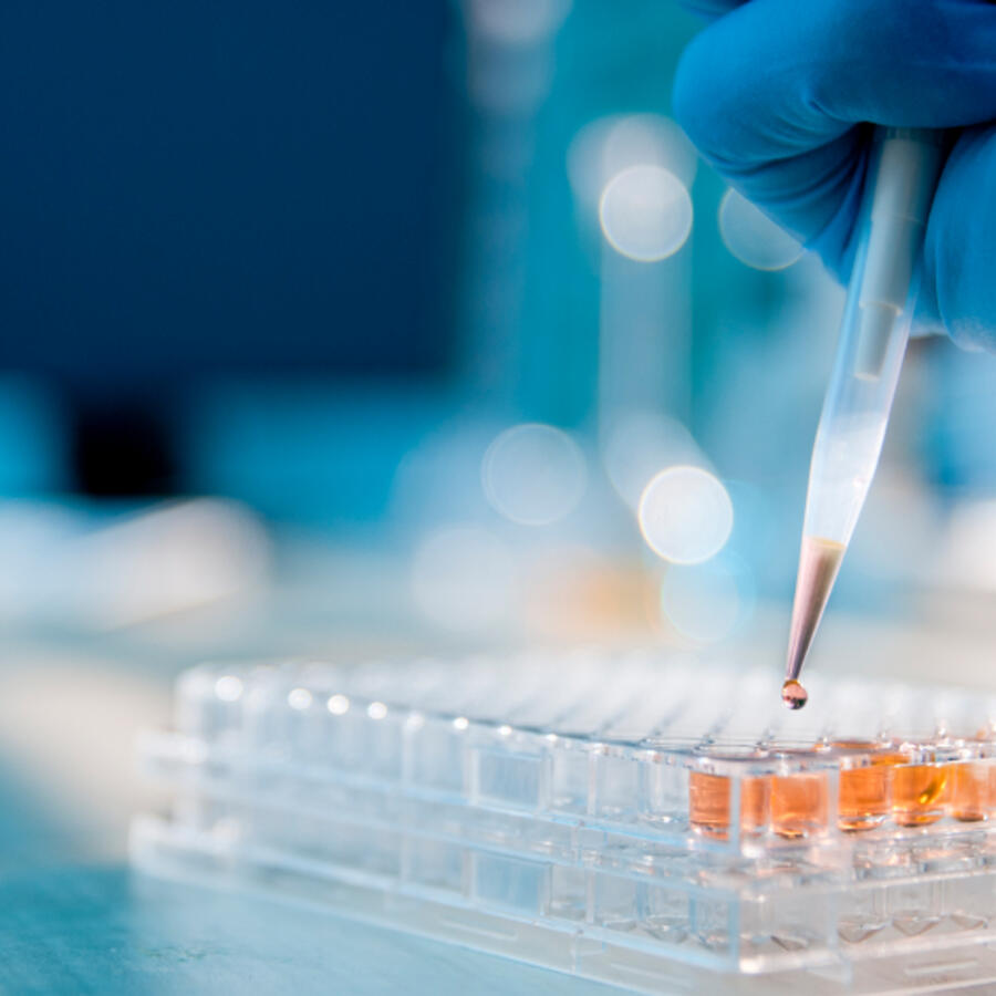 laboratory_0.jpg