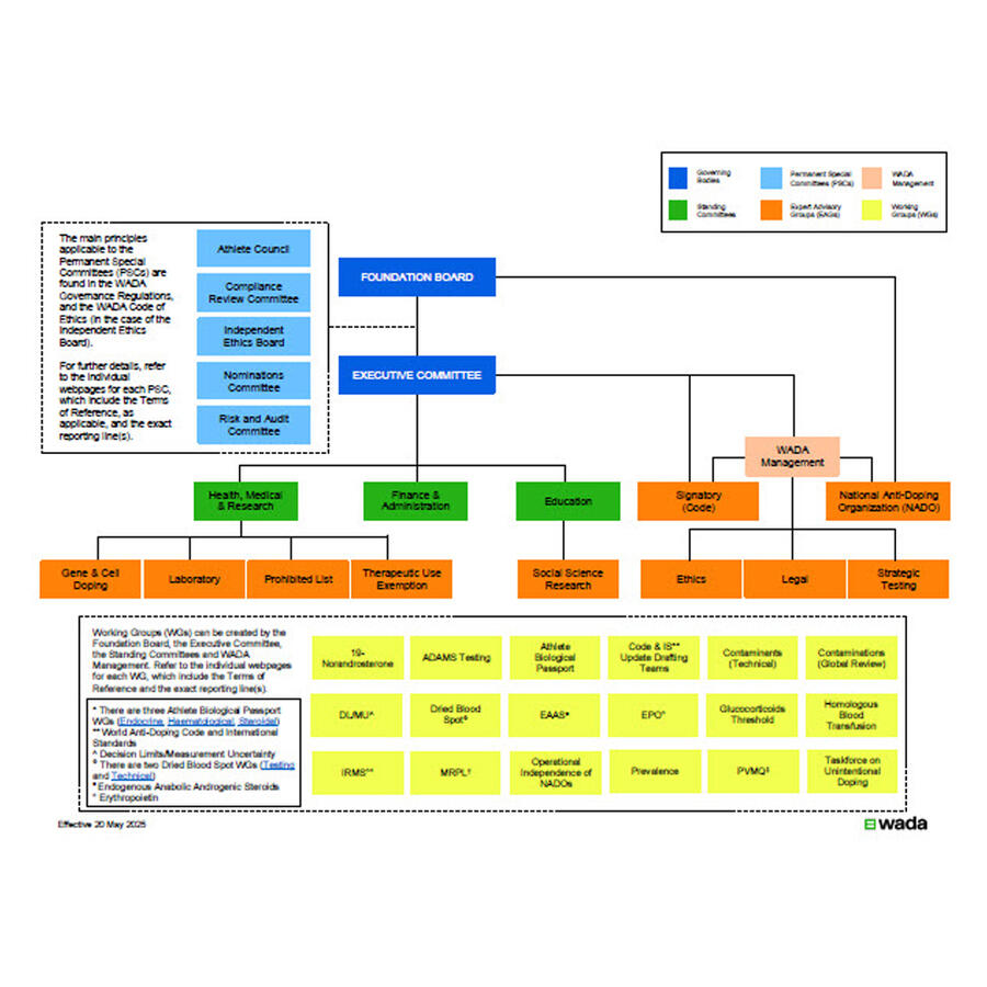 org-structure-thumbnail