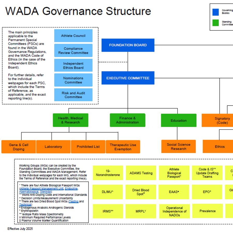 Governance Structure