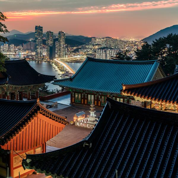 2025 World Conference in Busan