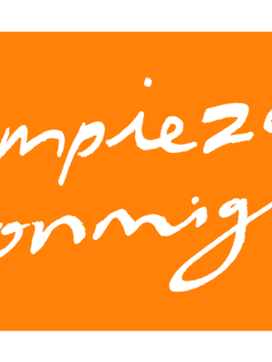 play_true_iswm_orange_square_spa